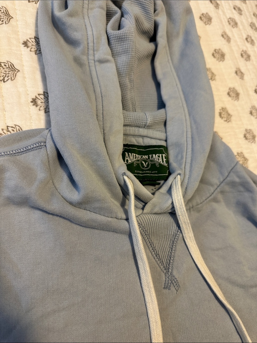 VINTAGE American Eagle Light Blue Hooded Sweatshirt
